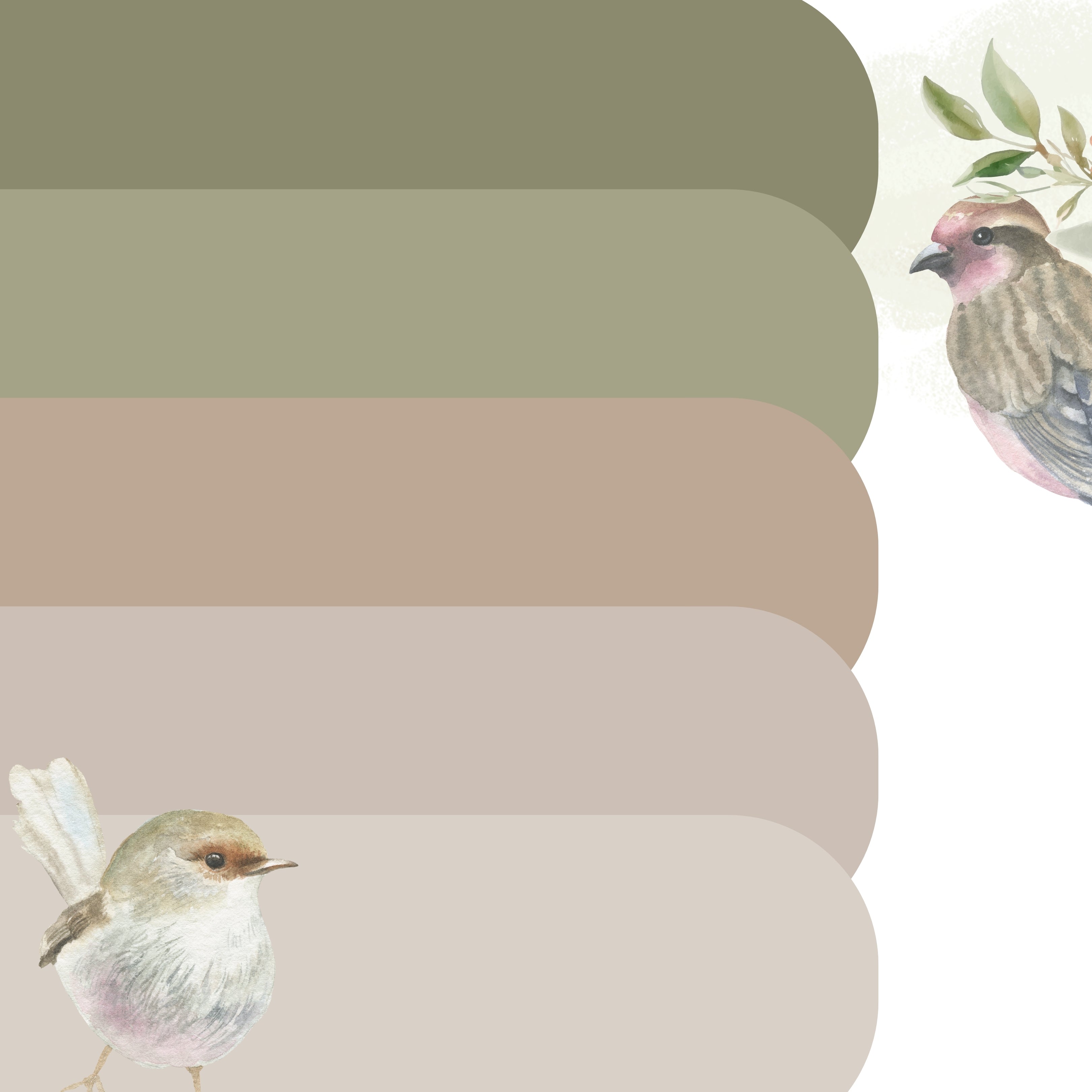 Olive Nest