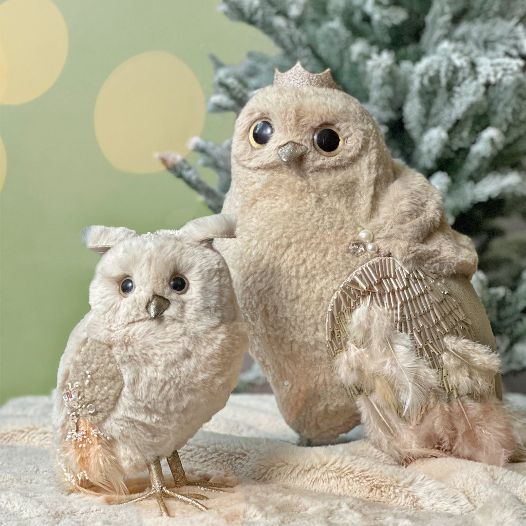 Baby Owl Elegance I