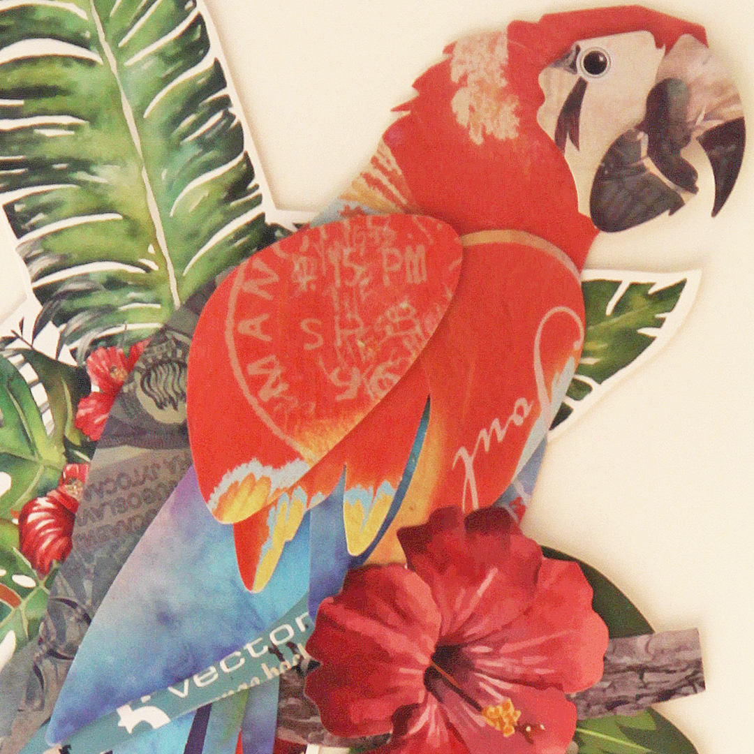 Cuckoo!