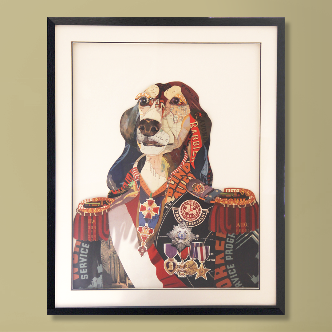 Mr Dog