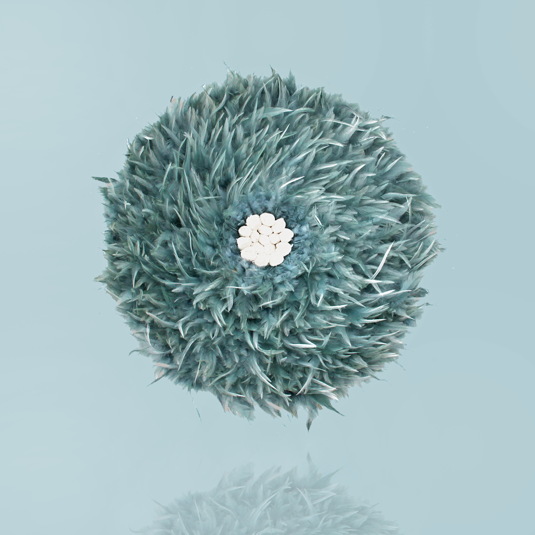 Feathered Wall decor Mystic