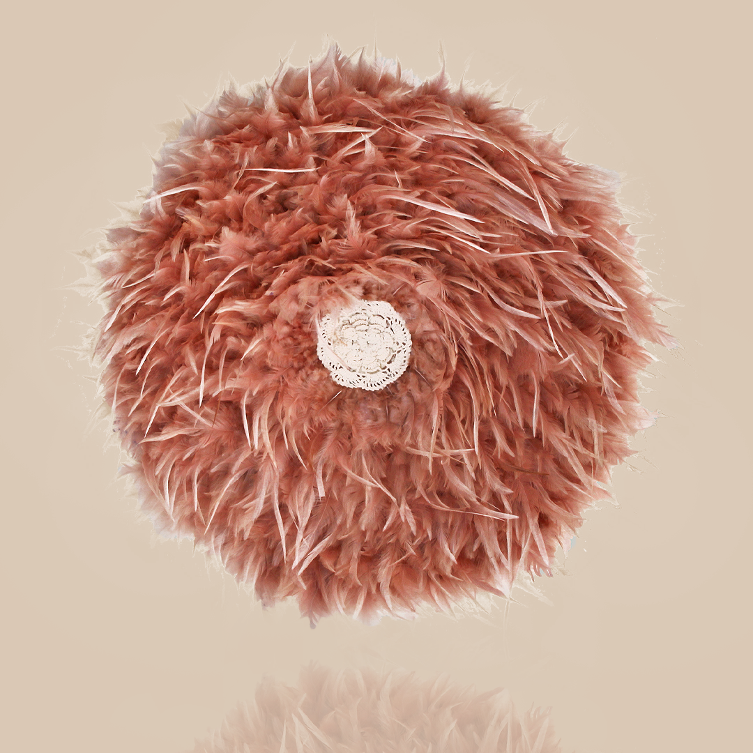 Feathered Wall decor Peach