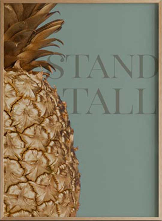 Stand Tall